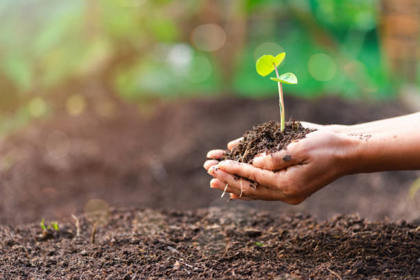 The Environmental Impact of Lubricants: Choosing Eco-Friendly Options